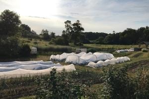 A photo of the flower beds all covered up at Our Farm.