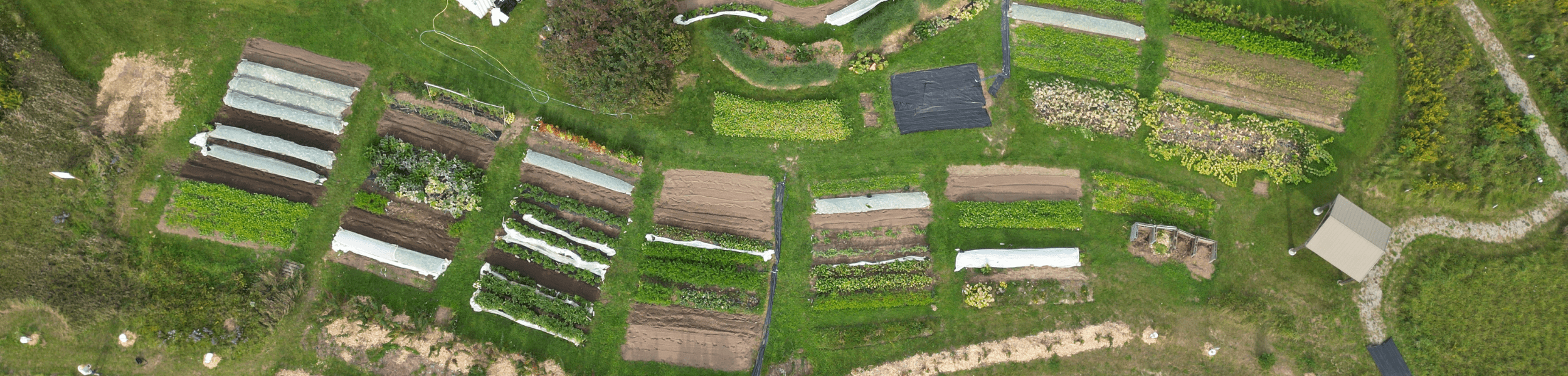 Aerial view of KW Habilitation's Our Farm